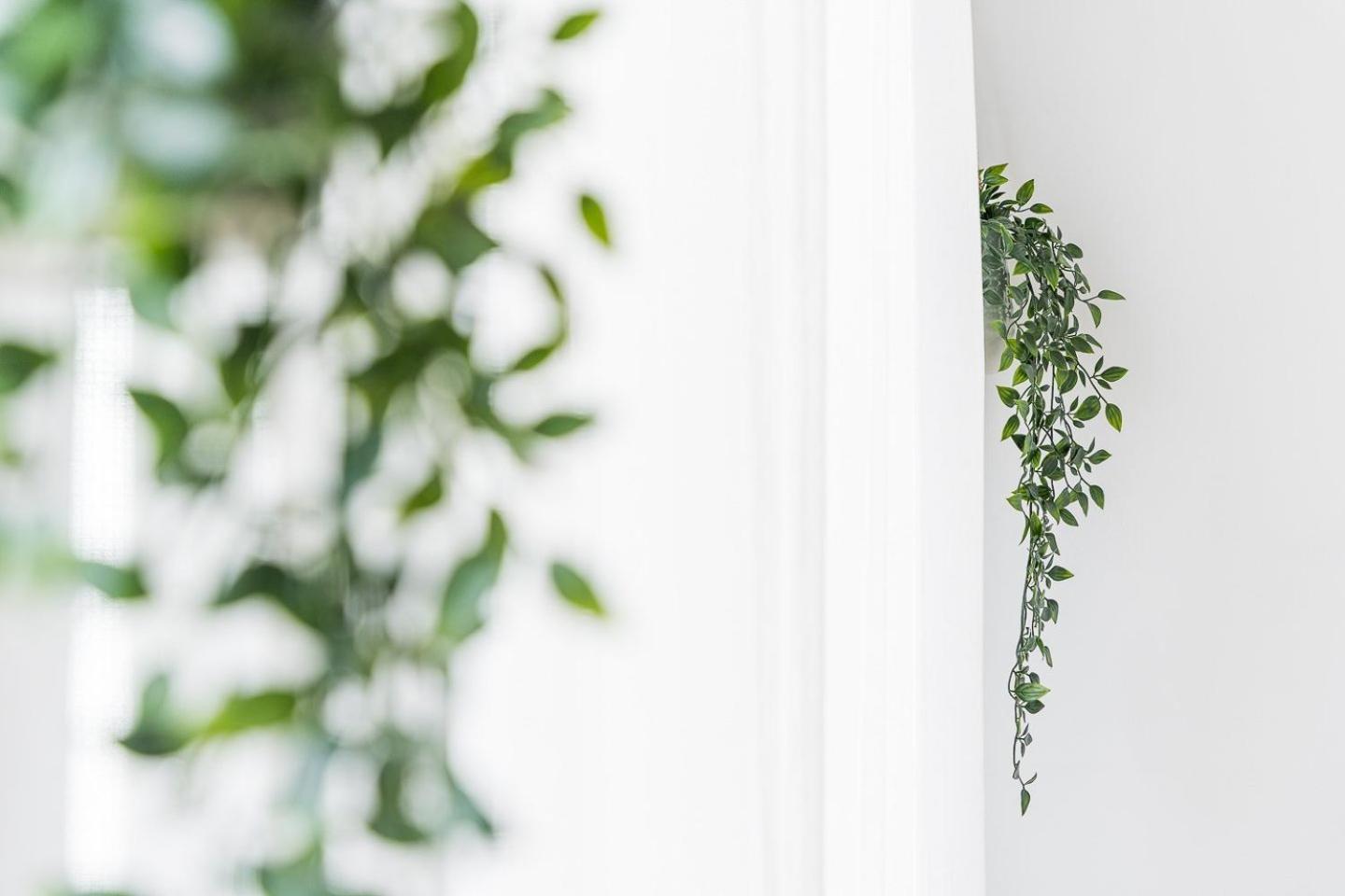 Guestready - Modern Cosy Apartment With A Terrace Porto Eksteriør billede